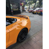 Задний спойлер на Ford Mustang GT, 2015-2023 Задний спойлер на Ford Mustang GT, 2015-2023