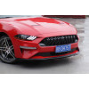 Решётка бампера для Ford Mustang, 2015-2017 Решётка бампера для Ford Mustang, 2015-2017