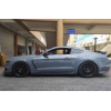 Крылья Ford Mustang GT350, 2015-2017 Крылья Ford Mustang GT350, 2015-2017