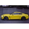 Крылья Ford Mustang GT350, 2015-2017 Крылья Ford Mustang GT350, 2015-2017