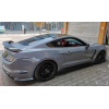 Крылья Ford Mustang GT350, 2015-2017 Крылья Ford Mustang GT350, 2015-2017