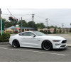 Передняя юбка Ford Mustang RTR, 2018-2023 Передняя юбка Ford Mustang RTR, 2018-2023