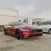 Решётка бампера для Ford Mustang AM, 2018-2023 Решётка бампера для Ford Mustang AM, 2018-2023