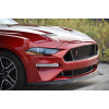 Решётка бампера для Ford Mustang AM, 2018-2023 Решётка бампера для Ford Mustang AM, 2018-2023