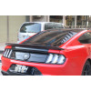 Задний спойлер на Ford Mustang GT350, 2015-2023 Задний спойлер на Ford Mustang GT350, 2015-2023