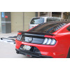 Задний спойлер на Ford Mustang GT350, 2015-2023 Задний спойлер на Ford Mustang GT350, 2015-2023