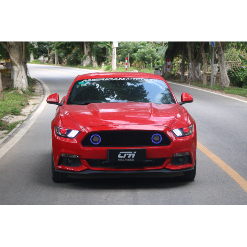 Решётка бампера для Ford Mustang RTR, 2015-2017