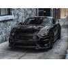 Передний бампер для Ford Mustang SHELBY GT 350 2018-2023 Передний бампер для Ford Mustang SHELBY GT 350 2018-2023