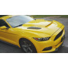 Воздуховод на капот для Ford Mustang Gt350 и Ford Mustang Gt500 Воздуховод на капот для Ford Mustang Gt350 и Ford Mustang Gt500